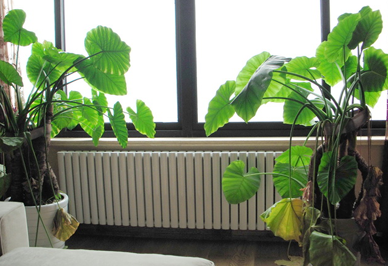 暖气片的质量要引起九游娱乐消费者的注意