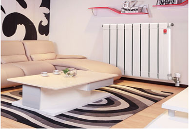 武汉铜铝复合暖气片